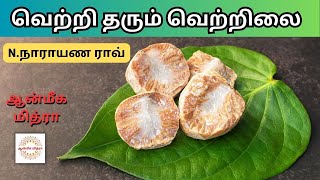 வெற்றி தரும் வெற்றிலை || Betel Leaf Uses in Tamil || Vettrilai || N.Narayana Rao