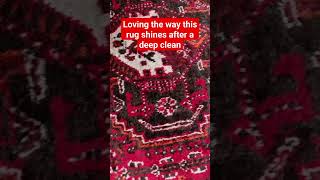 Persian Rug Cleaning In Plymouth With Captain Rug Wash #captainrugwash #rugcleaning