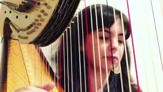 Harpist plays “Paradise” by Coldplay, Harp Cover