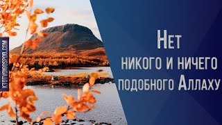 18. Нет никого и ничего подобного Аллаху