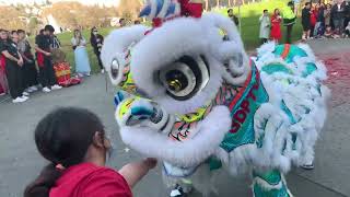 Tet at the Seattle space needle 2024 day 1