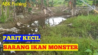 CESTING IKAN GABUS DI KALIMANTAN UTARA