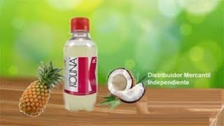 KOLINA OMNILIFE 🐛 Ayuda fortalecer sistema digestivo ¿Para que sirve, beneficios, componentes, usos?