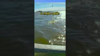 UN TIP COPADO DE PESCA