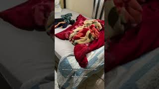 Marido chega em casa e encontra a casa nessa situação! E olha o que a mulher estava fazendo