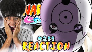 NARUTO SHIPPUDEN Episode 255 REACTION "The Artist Returns" | Anime Reaction