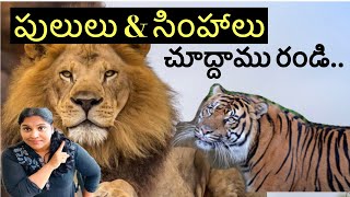 Tiger recuse center||Telugu Vlogs from USA