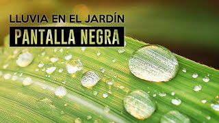 Sonido de lluvia y pájaros en el jardín | Pantalla negra