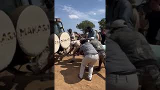 Tourist encounter a giant snake at Masai Mara national park