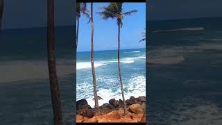 Mirissa Beach😮🏊#subscribe#travel#mirissabeach#mirissa#nature#srilanka#travelsl#beach#galle#lanka