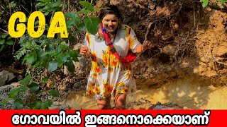 Goa | ഇവിടെ തന്നെ വരണം Arambol Mud Bath Deep Forest  Banyan Tree Beach Hut Stay To Visit India