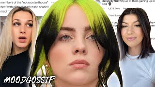 Ellie Zeiler VS Not A Content House, Billie Eilish LOSES 100k followers! TikTokers getting BACKLASH!