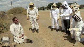 Rooftop, Botanical, Urban, Garden, Honey Bees - America's Hartland