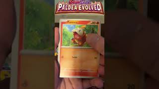 Paldea Evolved Booster Bundle #pokemon #paldeaevolved