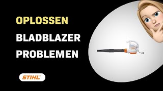 Hoe Stihl BGE 71 Bladblazer Problemen Oplossen