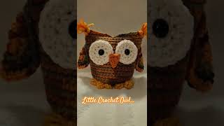 Little Crochet Owl #crochetshorts #owl #amigurumi #halloweenowl #fall #autumn2024 #crochet