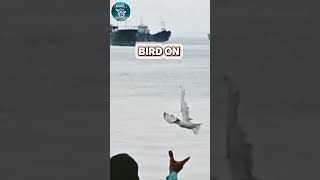 bird on HOOK..#fishing #shortvideo #subscribe #fish #funny #