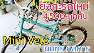 จักรยาน Mini Velo ปั่นเที่ยว คุณภาพดีๆ ราคาถูกมาก จาก นนทรีกลการ