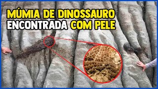 DINOSSAURO "MUMIFICADO" COM PELE 😱 #fatoscuriosos #dinossauro