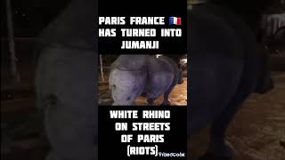 PARIS HAS TURNED IN JUMANJI (RIOTS FRANCE 🇫🇷)