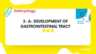 Development of Gastrointestinal tract