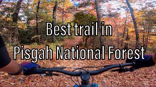 The best trail in Pisgah National Forest | Kitsuma