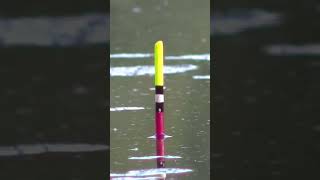 Float fishing 2