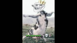 I am the best cow moment #trollface #memes #viralvideo