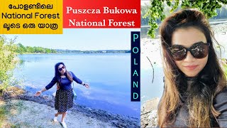 Poland National Forest Tour - Puszcza Bukowa | Travel Video പോളണ്ടിലെ നാഷണൽ ഫോറസ്റ്റ് ലൂടെ ഒരു യാത്ര