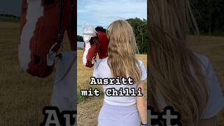 Ausritt & Stoppelfeld mit Chilli 🌾❤️