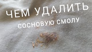 Чем быстро удалить сосновую смолу с одежды🤠