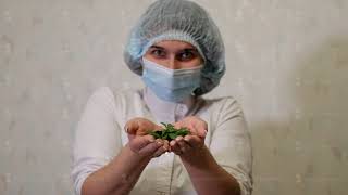 A young happy biologist woman with a cannabis bush in her hands