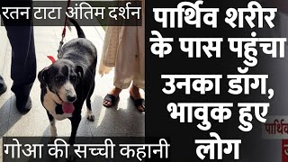 Ratan TATA । Ratan TATA Dog GOA । Ratan TATA Antim Darshan Breaking News Hindi News True Story Viral