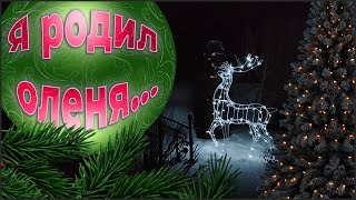 Предновогодние сказки.  live видео. Провожаем 2023 год.