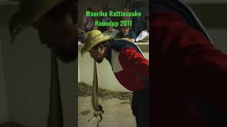 #oklahoma #crotalus #rattlesnake #rattlesnakeroundup Waurika OK Rattlesnake Roundup 2011