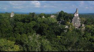 ‘Green Deserts’ to ‘Forests of Plenty’: An Archaeology of Tropical Forests