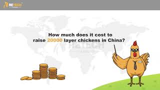 How much does it cost to start a 20,000 birds layer chicken poultry farm ? - RETECH Farming