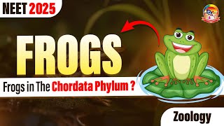 Frogs || Frogs in The Chordata Phylum ? || NEET Zoology || NEET 2025 || @srichaitanyagosala