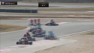 2018 IAME EURO SERIES 2018 ROUND 1   SATURDAY qualifying heat 2