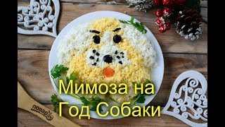 Мимоза на Год Собаки