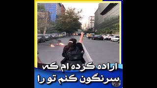 اراده کرده ام که سرنگون کنم ترا