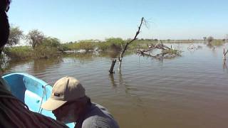 Floods in Sindh 2011 - Petarian Foundation relief work in Sanghar - 08