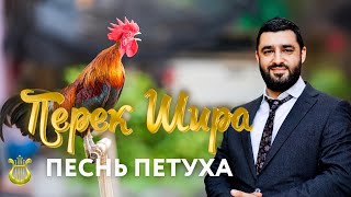 🐓 Перек Шира: Песнь петуха (Рав Исраэль Якобов) Цикл: Песнь Творения. #32