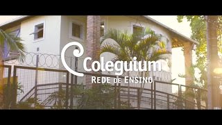 Educação Infantil Coleguium