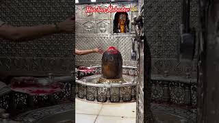 Har har Mahadev 🔱 #mahakaleshwarujjain #mahakal #mahadev #maheshwar #viral #shortvideo #ytshorts