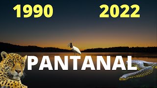 PERSONAGEM DE PANTANAL 1990 X 2022