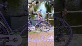 Bikes and flowers #art