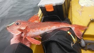 Kayak fishing squid and other stuff in Donegal, Ireland.