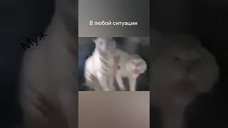 Муж и я в любой ситуации