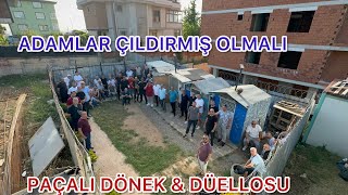 DÖNEKÇİLERİN BÜYÜK KAPIŞMASI